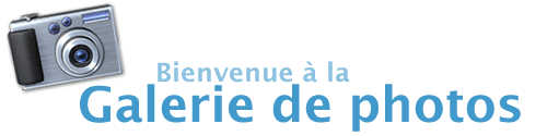 Bienvenue à la galerie de photos